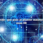 Réponse rapide : que puis-je planter maintenant dans la zone 8B